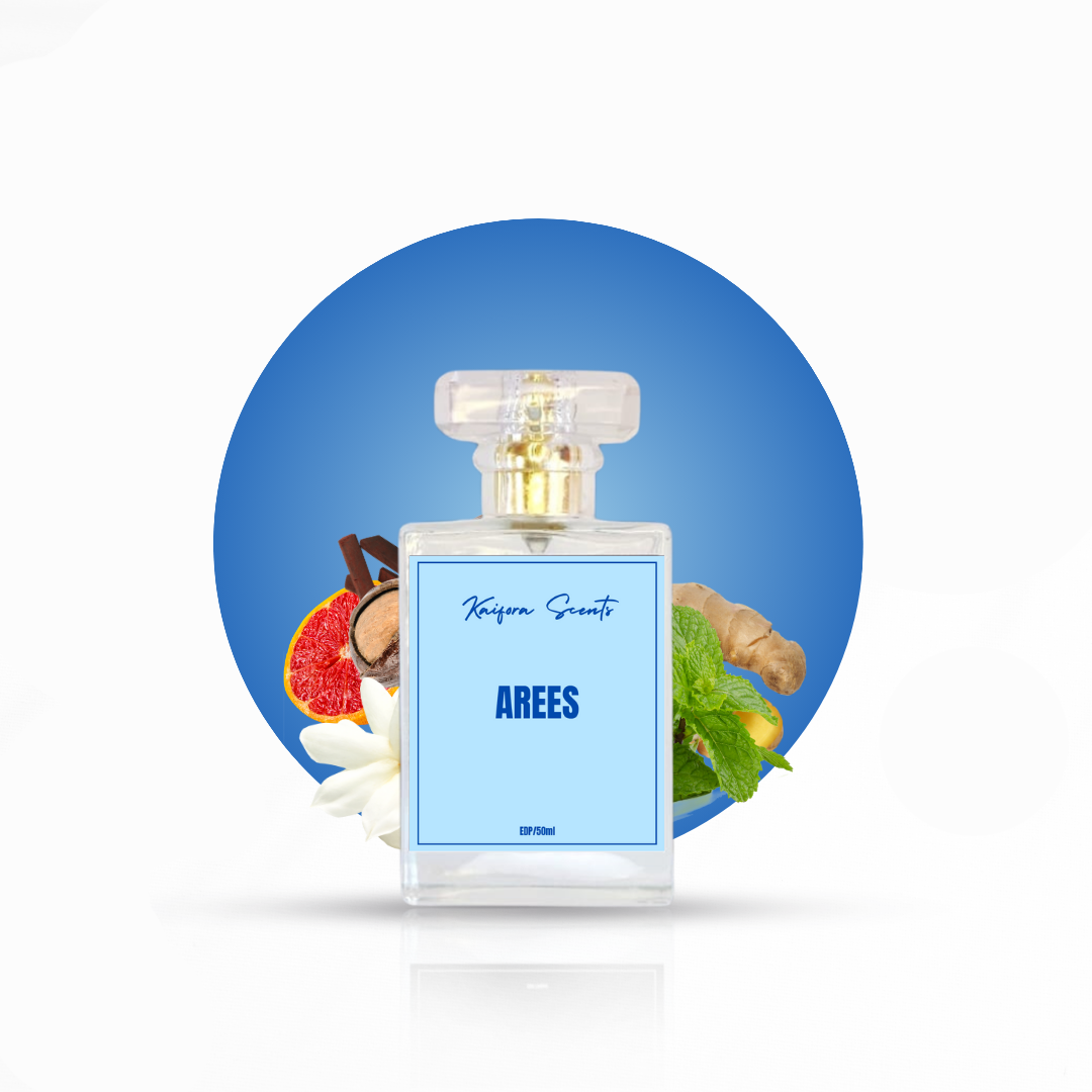 Arees – Inspired by Bleu de Chanel